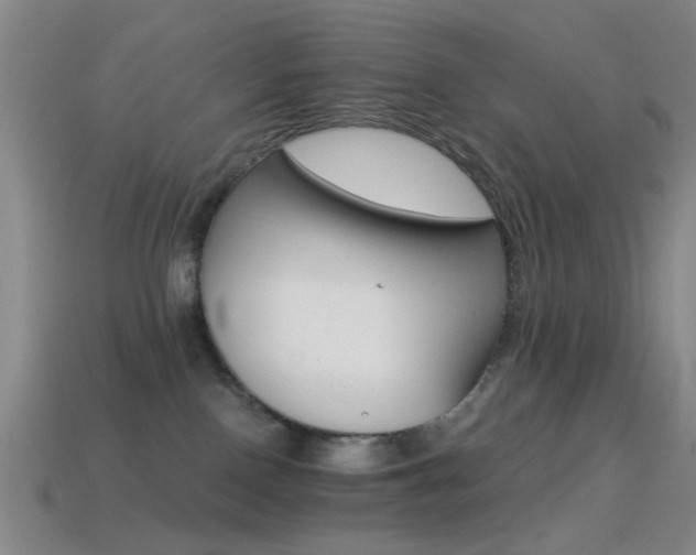 X0000114400090200910161325