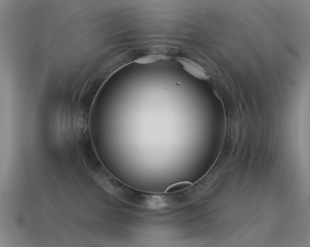 X0000114400091200910161325