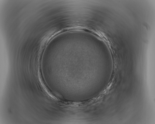 X0000114400097200910161324