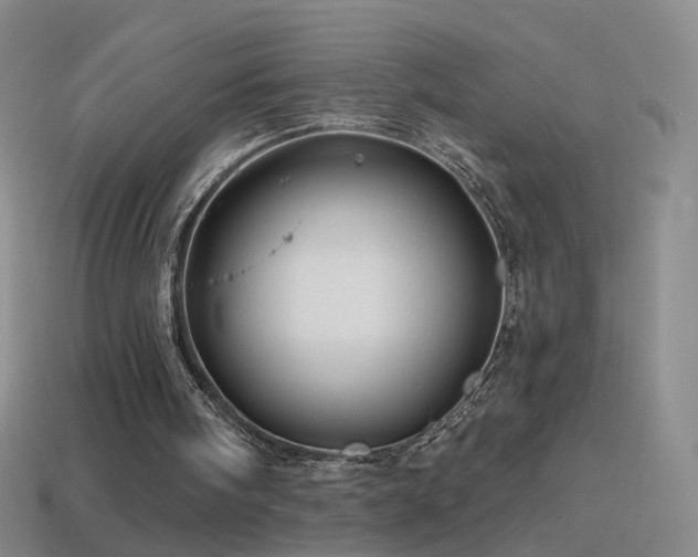 X0000114400098200910161324