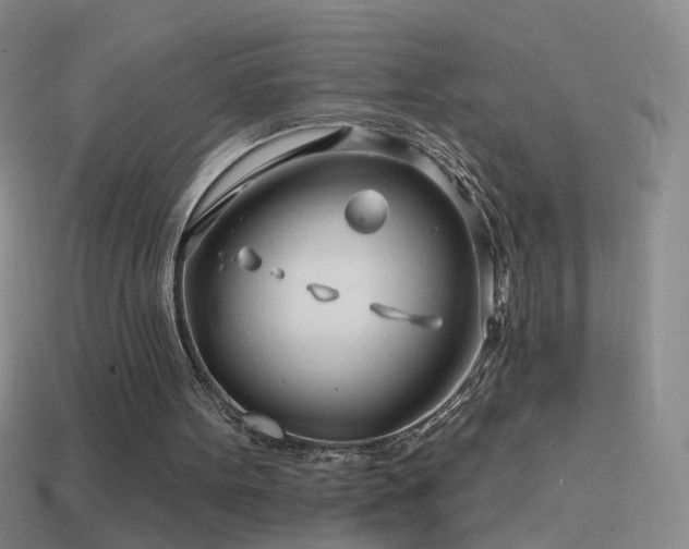 X0000114400099200910161324