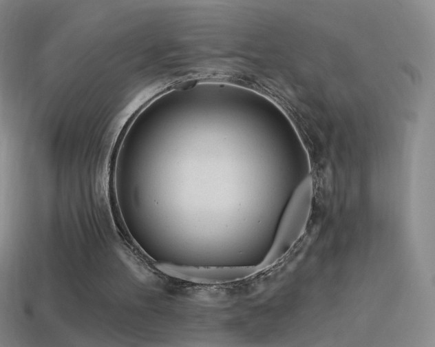 X0000114400100200910161324