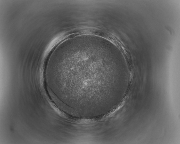 X0000114400101200910161324