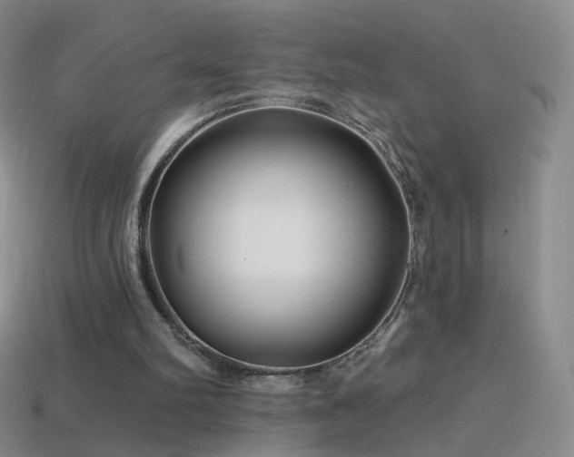 X0000114400102200910161324