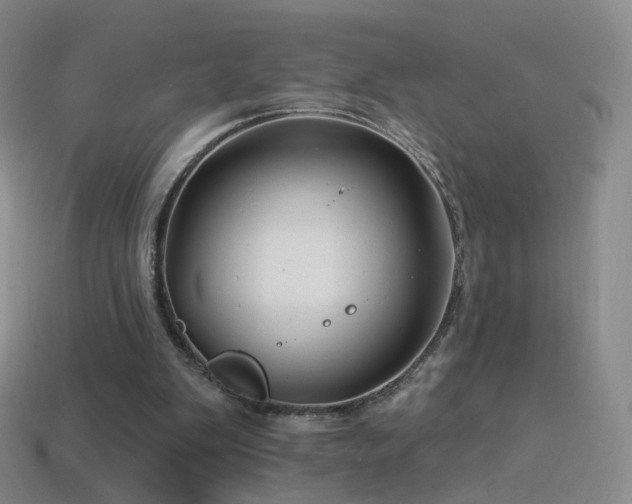 X0000114400103200910161324