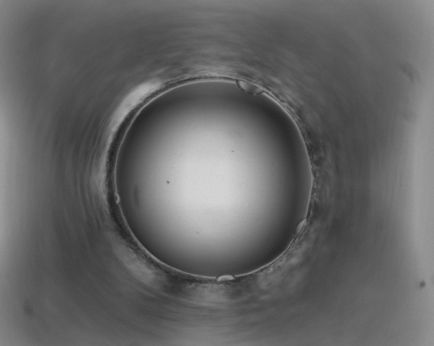 X0000114400104200910161324