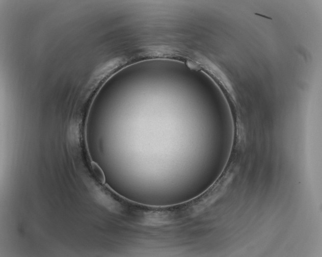 X0000114400105200910161324