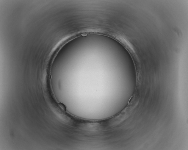 X0000114400108200910161324