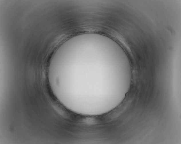 X0000114400114200910161324