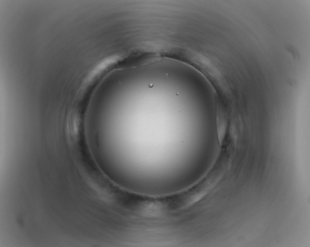 X0000114400115200910161324