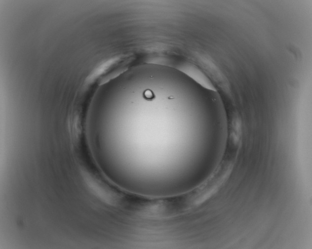 X0000114400116200910161324