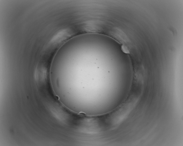 X0000114400117200910161324