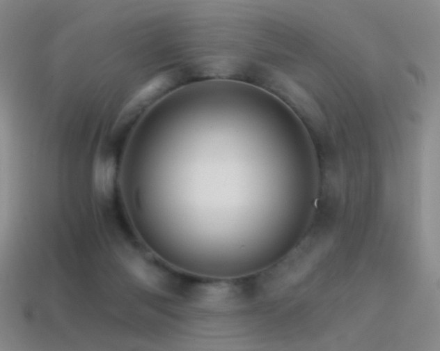 X0000114400118200910161324