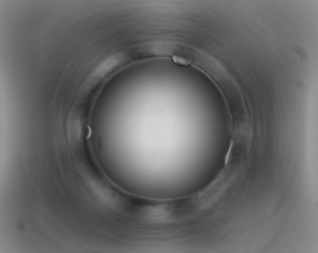 X0000114400120200910161323