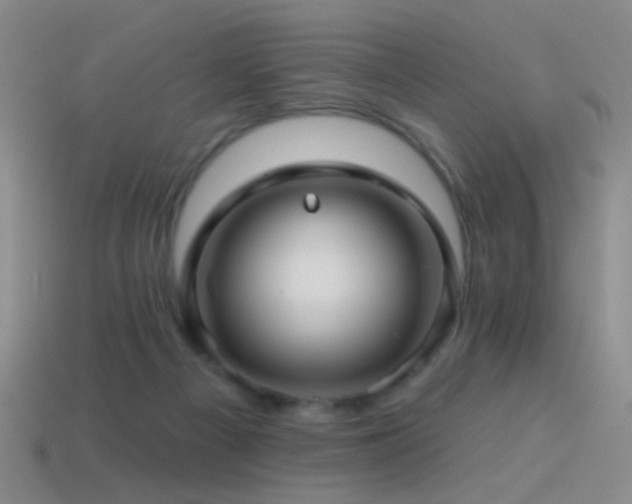 X0000114400121200910161323