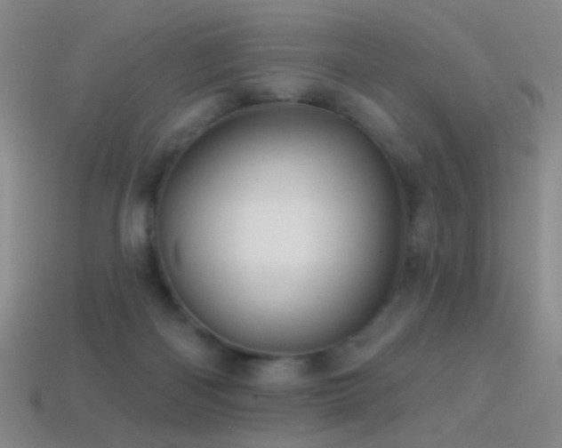 X0000114400122200910161323