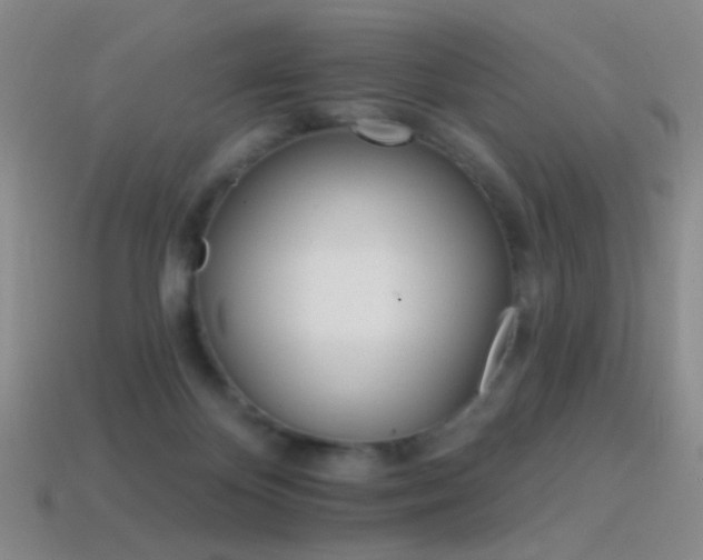 X0000114400124200910161323