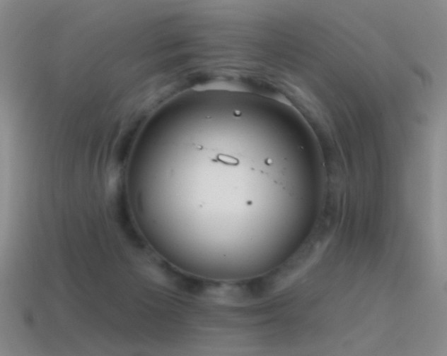 X0000114400125200910161323