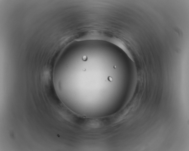 X0000114400127200910161323