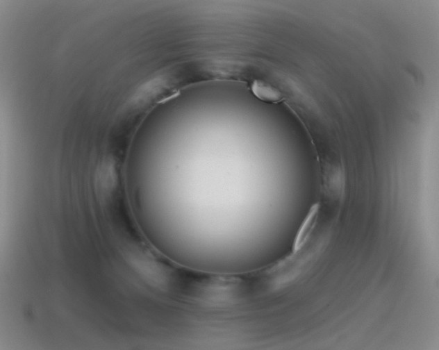 X0000114400128200910161323