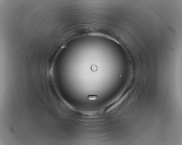 X0000114400129200910161323