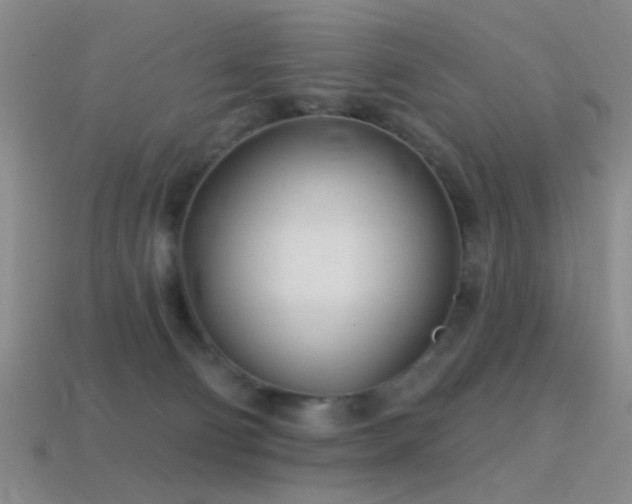 X0000114400130200910161323