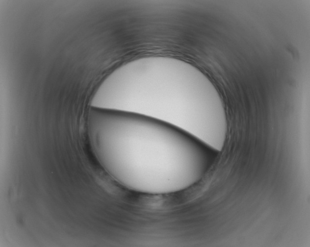 X0000114400131200910161323