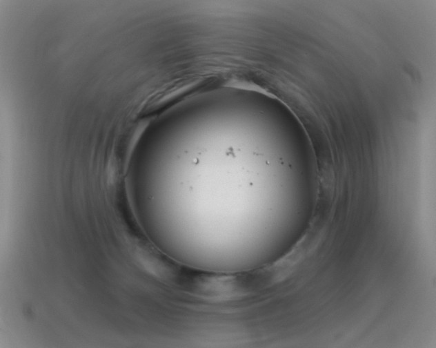 X0000114400132200910161323