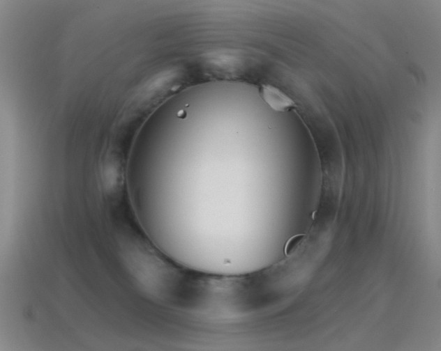 X0000114400134200910161323