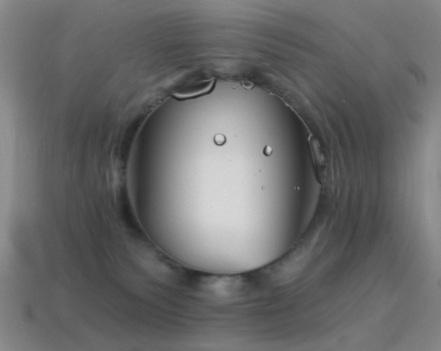 X0000114400135200910161323