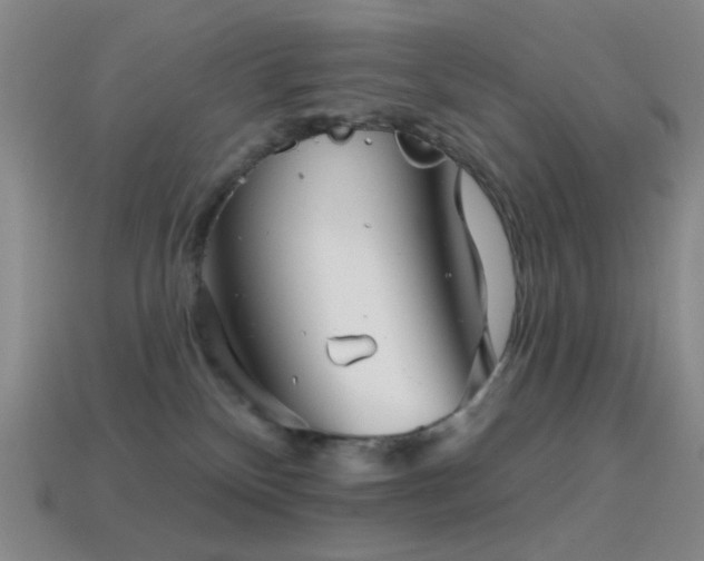 X0000114400136200910161323