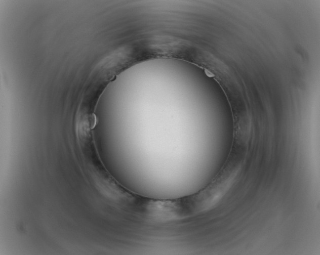 X0000114400137200910161323