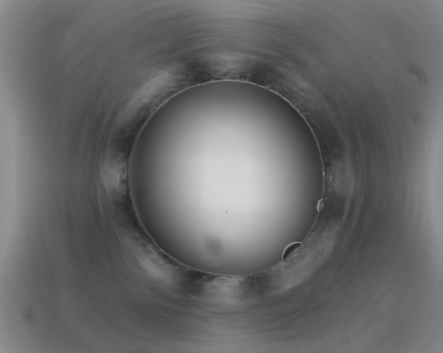 X0000114400138200910161323