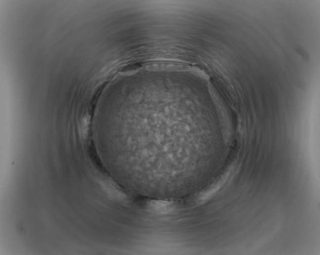 X0000114400139200910161323