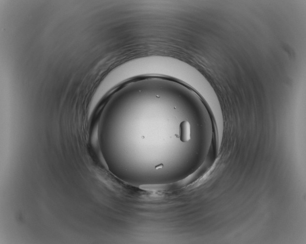 X0000114400140200910161323