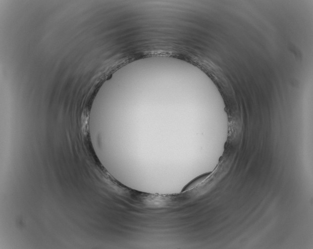 X0000114400142200910161323