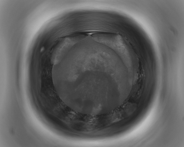 X0000114400143200910161323