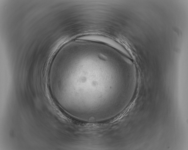 X0000114400145200910161323