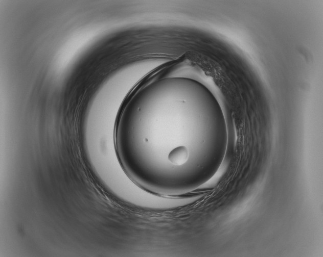 X0000114400146200910161323