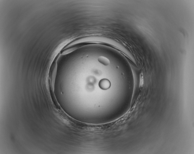 X0000114400147200910161323