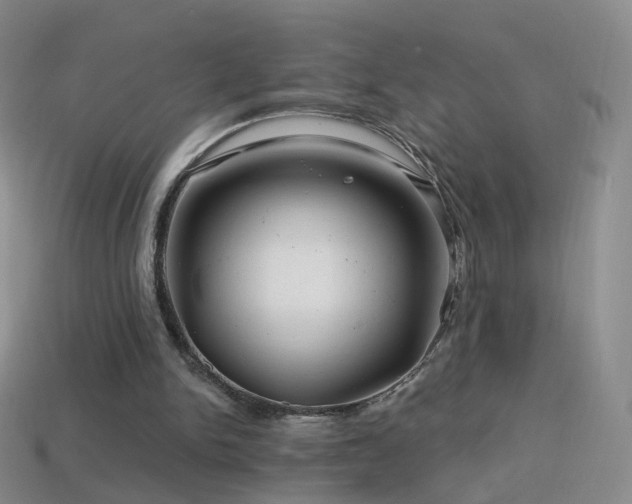 X0000114400150200910161323