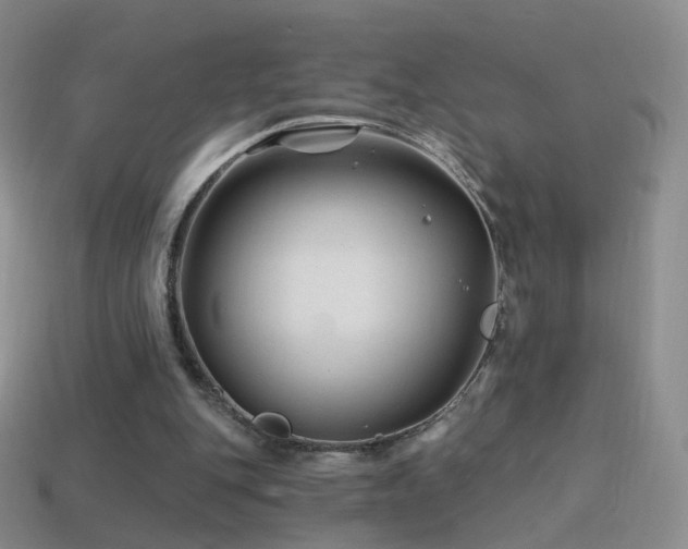 X0000114400151200910161323