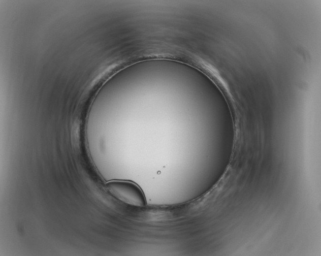 X0000114400154200910161323