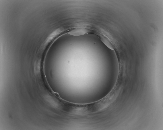 X0000114400155200910161323