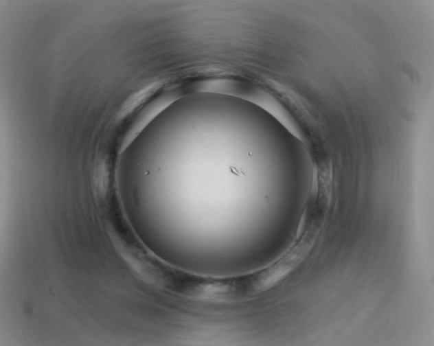 X0000114400158200910161323