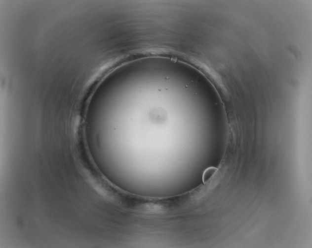 X0000114400159200910161323