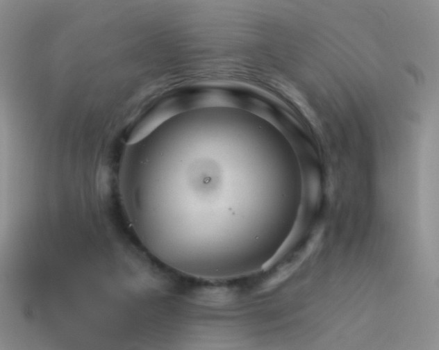 X0000114400161200910161323