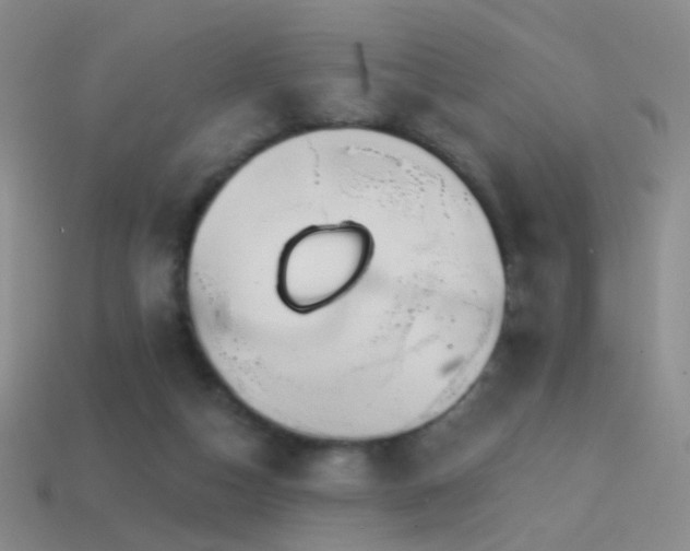 X0000114400162200910161323