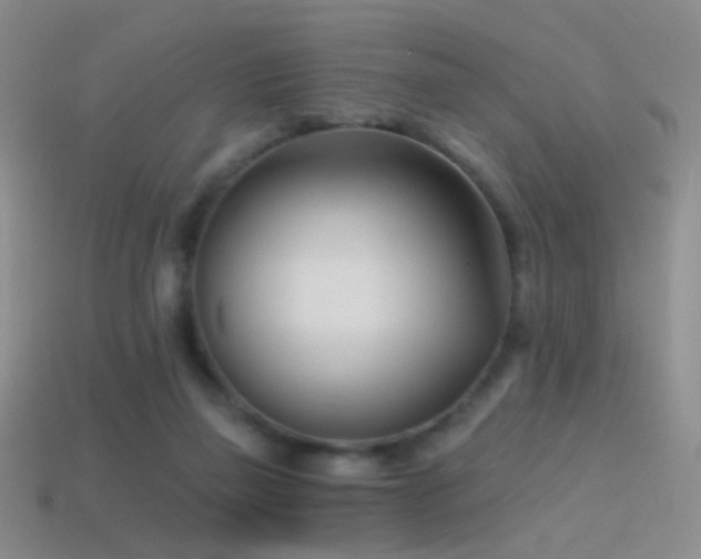 X0000114400165200910161323