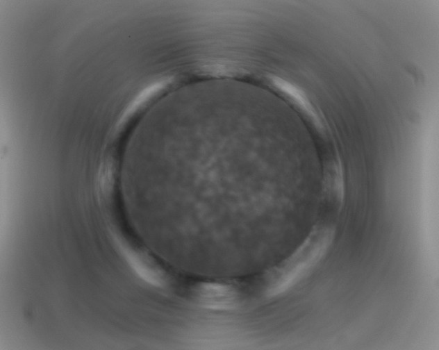 X0000114400167200910161323